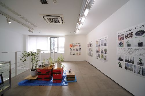 installation view