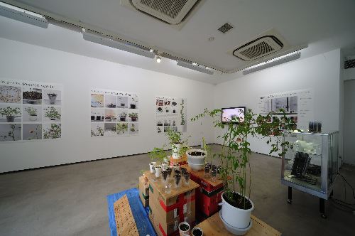 installation view