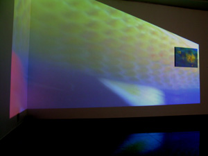 makoto fujimura / nagasaki koi